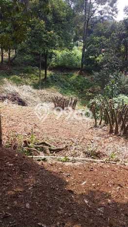Tanah Dijual Lokasi Babakan Madang, Bogor dengan Luas Tanah 3607m2 dan Status SHM Tanah Dijual Lokasi Babakan Madang, Bogor dengan Luas Tanah 3607m2 dan Status SHM