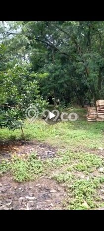 Tanah Komersial Dijual di Balaraja Tangerang 200000m2 Tanah Komersial Dijual di Balaraja Tangerang 200000m2