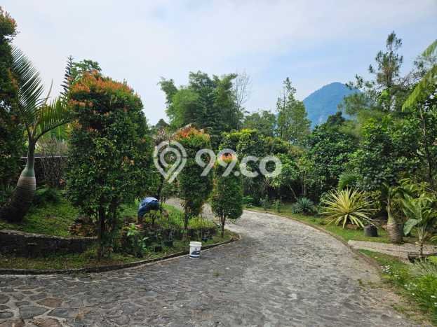 Aset Potensial! Vila Kawasan , Area 2000m2m², Hasil Menjanjikan untuk bisnis Aset Potensial! Vila Kawasan , Area 2000m2m², Hasil Menjanjikan untuk bisnis