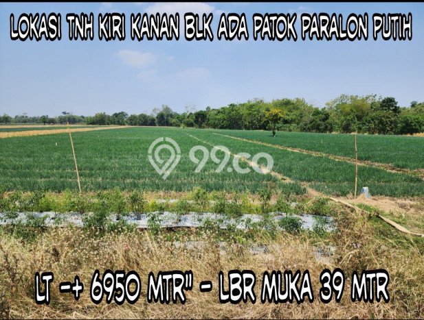 Tanah Kavling untuk Dijual di Kertajati Majalengka 6950m2 Tanah Kavling untuk Dijual di Kertajati Majalengka 6950m2