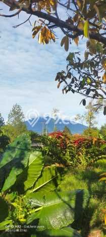 Tanah Strategis Dijual di Caringin Bogor 13000m2 Tanah Strategis Dijual di Caringin Bogor 13000m2