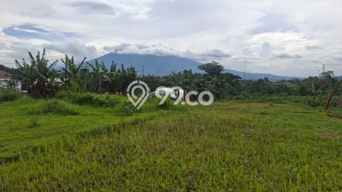 Lahan Dijual Lokasi Caringin, Bogor dengan Luas Tanah 8000m2 dan Status AJB Lahan Dijual Lokasi Caringin, Bogor dengan Luas Tanah 8000m2 dan Status AJB