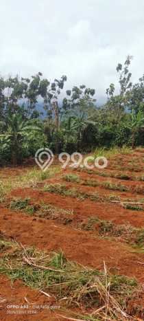 Tanah Dijual Lokasi Caringin, Bogor dengan Luas Tanah 3160m2 dan Status SHM Tanah Dijual Lokasi Caringin, Bogor dengan Luas Tanah 3160m2 dan Status SHM