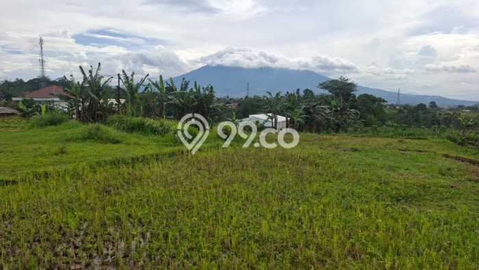 Lahan Dijual Lokasi Caringin, Bogor dengan Luas Tanah 8000m2 dan Status AJB Lahan Dijual Lokasi Caringin, Bogor dengan Luas Tanah 8000m2 dan Status AJB