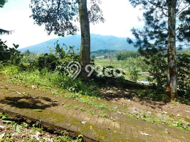 For Sale Vila Kawasan Cigombong, Ukuran 2000m2m², Area Asri For Sale Vila Kawasan Cigombong, Ukuran 2000m2m², Area Asri