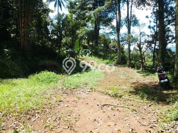 For Sale Vila Kawasan Cigombong, Ukuran 2000m2m², Area Asri For Sale Vila Kawasan Cigombong, Ukuran 2000m2m², Area Asri