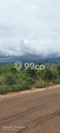 Tanah Dijual Lokasi Caringin, Bogor dengan Luas Tanah 3160m2 dan Status SHM Tanah Dijual Lokasi Caringin, Bogor dengan Luas Tanah 3160m2 dan Status SHM