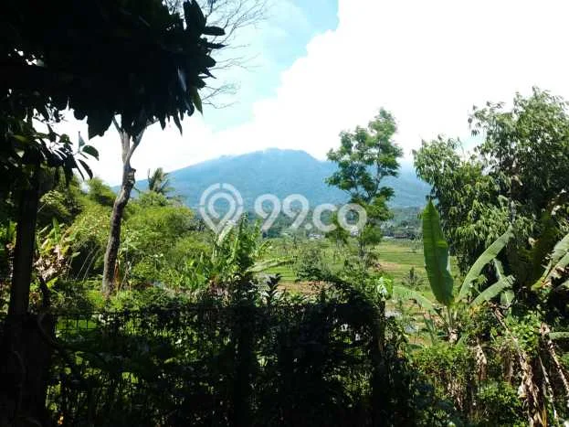 For Sale Vila Kawasan Cigombong, Ukuran 2000m2m², Area Asri For Sale Vila Kawasan Cigombong, Ukuran 2000m2m², Area Asri
