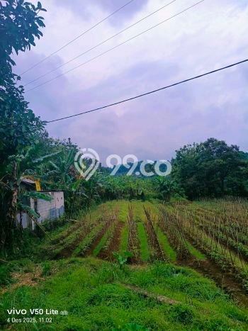 Tanah Kavling untuk Dijual di Caringin Bogor 15000m2 Tanah Kavling untuk Dijual di Caringin Bogor 15000m2