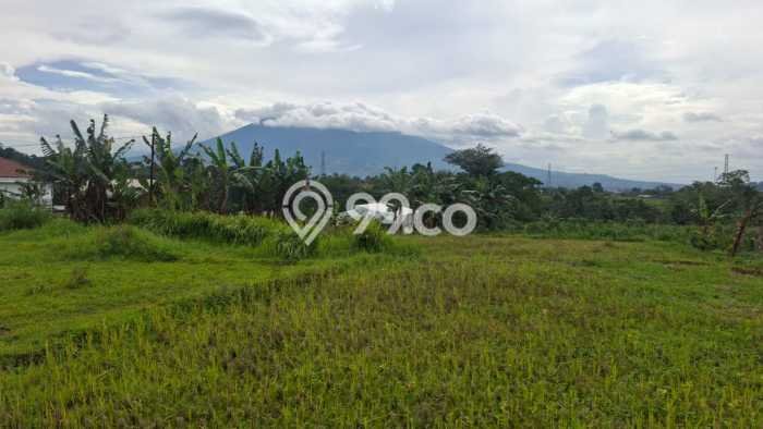 Lahan Dijual Lokasi Caringin, Bogor dengan Luas Tanah 8000m2 dan Status AJB Lahan Dijual Lokasi Caringin, Bogor dengan Luas Tanah 8000m2 dan Status AJB