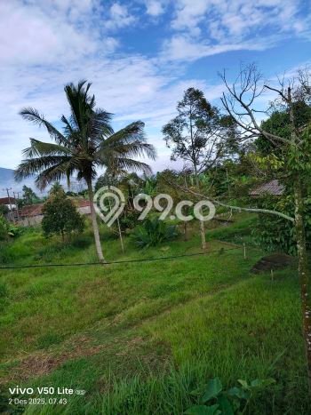 Tanah Strategis Dijual di Caringin Bogor 13000m2 Tanah Strategis Dijual di Caringin Bogor 13000m2