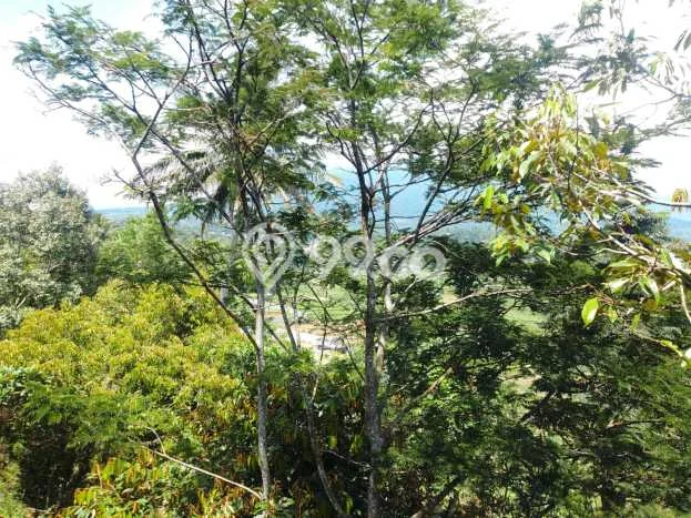 For Sale Vila Kawasan Cigombong, Ukuran 2000m2m², Area Asri For Sale Vila Kawasan Cigombong, Ukuran 2000m2m², Area Asri