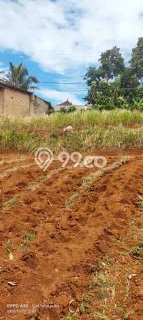 Tanah Dijual Lokasi Caringin, Bogor dengan Luas Tanah 3160m2 dan Status SHM Tanah Dijual Lokasi Caringin, Bogor dengan Luas Tanah 3160m2 dan Status SHM