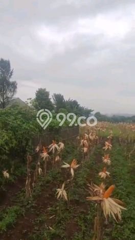 Lahan Strategis di Caringin Dijual dengan Luas 15000m2 Lahan Strategis di Caringin Dijual dengan Luas 15000m2