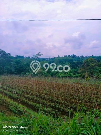 Tanah Kavling untuk Dijual di Caringin Bogor 15000m2 Tanah Kavling untuk Dijual di Caringin Bogor 15000m2