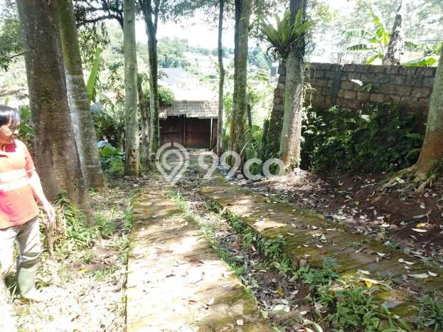 For Sale Vila Kawasan Cigombong, Ukuran 2000m2m², Area Asri For Sale Vila Kawasan Cigombong, Ukuran 2000m2m², Area Asri
