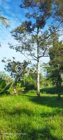 Tanah Strategis Dijual di Caringin Bogor 13000m2 Tanah Strategis Dijual di Caringin Bogor 13000m2