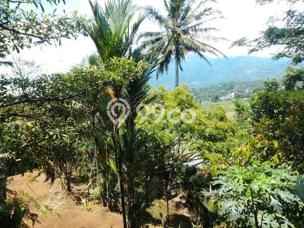 For Sale Vila Kawasan Cigombong, Ukuran 2000m2m², Area Asri For Sale Vila Kawasan Cigombong, Ukuran 2000m2m², Area Asri