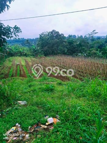 Tanah Kavling untuk Dijual di Caringin Bogor 15000m2 Tanah Kavling untuk Dijual di Caringin Bogor 15000m2