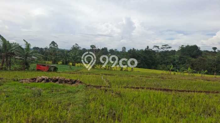 Lahan Dijual Lokasi Caringin, Bogor dengan Luas Tanah 8000m2 dan Status AJB Lahan Dijual Lokasi Caringin, Bogor dengan Luas Tanah 8000m2 dan Status AJB