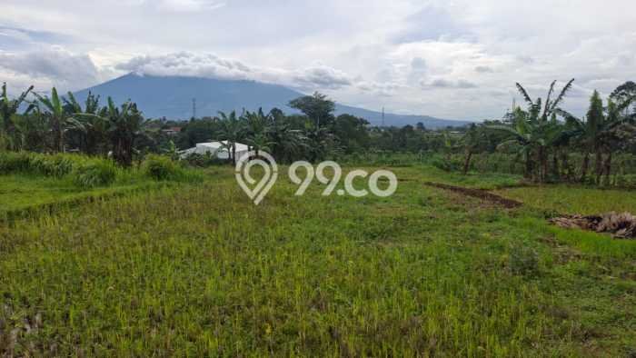 Lahan Dijual Lokasi Caringin, Bogor dengan Luas Tanah 8000m2 dan Status AJB Lahan Dijual Lokasi Caringin, Bogor dengan Luas Tanah 8000m2 dan Status AJB