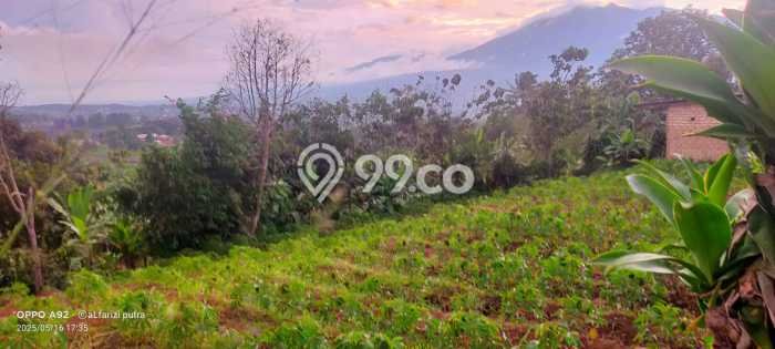 Tanah Dijual Lokasi Caringin, Bogor dengan Luas Tanah 3160m2 dan Status SHM Tanah Dijual Lokasi Caringin, Bogor dengan Luas Tanah 3160m2 dan Status SHM