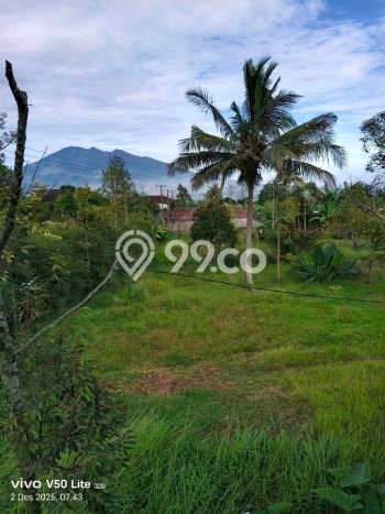Tanah Strategis Dijual di Caringin Bogor 13000m2 Tanah Strategis Dijual di Caringin Bogor 13000m2