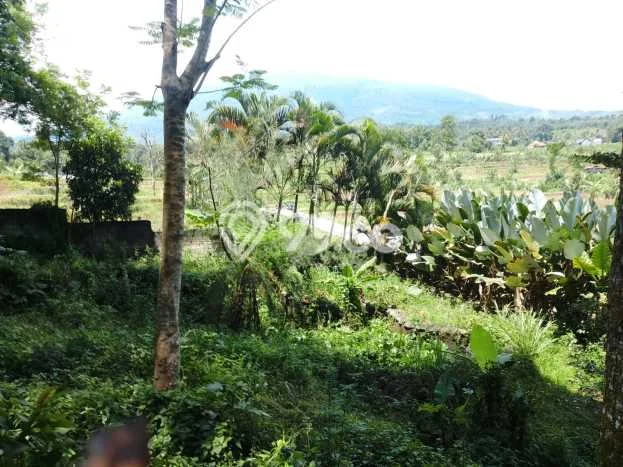 For Sale Vila Kawasan Cigombong, Ukuran 2000m2m², Area Asri For Sale Vila Kawasan Cigombong, Ukuran 2000m2m², Area Asri
