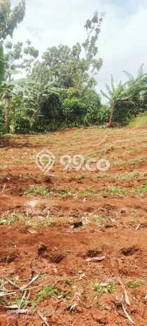 Tanah Dijual Lokasi Caringin, Bogor dengan Luas Tanah 3160m2 dan Status SHM Tanah Dijual Lokasi Caringin, Bogor dengan Luas Tanah 3160m2 dan Status SHM
