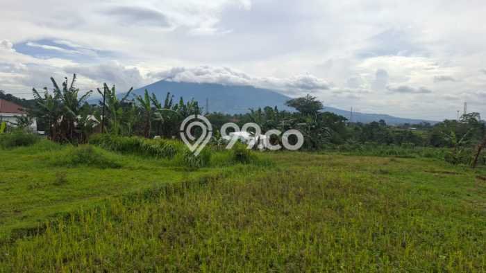 Lahan Dijual Lokasi Caringin, Bogor dengan Luas Tanah 8000m2 dan Status AJB Lahan Dijual Lokasi Caringin, Bogor dengan Luas Tanah 8000m2 dan Status AJB