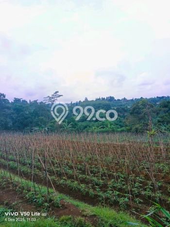 Tanah Kavling untuk Dijual di Caringin Bogor 15000m2 Tanah Kavling untuk Dijual di Caringin Bogor 15000m2