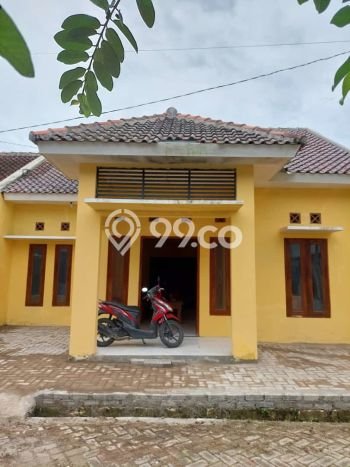 Hunian Murah Dijual di Jepon, Blora Harga Rp 380 Juta Hunian Murah Dijual di Jepon, Blora Harga Rp 380 Juta