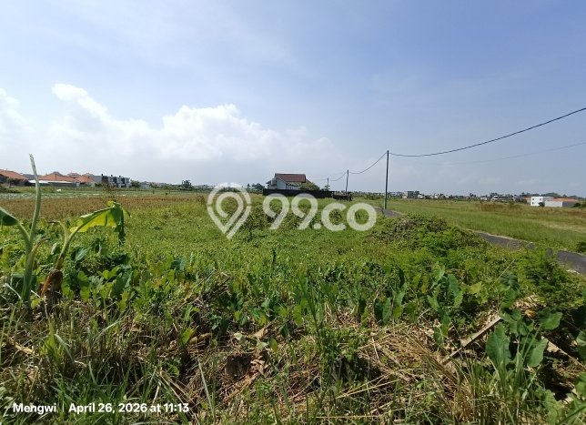 Tanah Kavling Dijual di Badung dengan Spesifikasi 1000m2 Tanah Kavling Dijual di Badung dengan Spesifikasi 1000m2