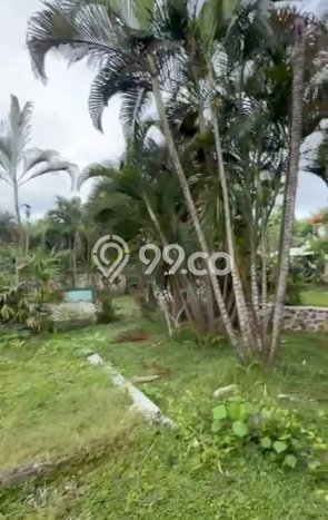 Disewakan Tanah di Canggu Badung Seluas 1100m2 Disewakan Tanah di Canggu Badung Seluas 1100m2