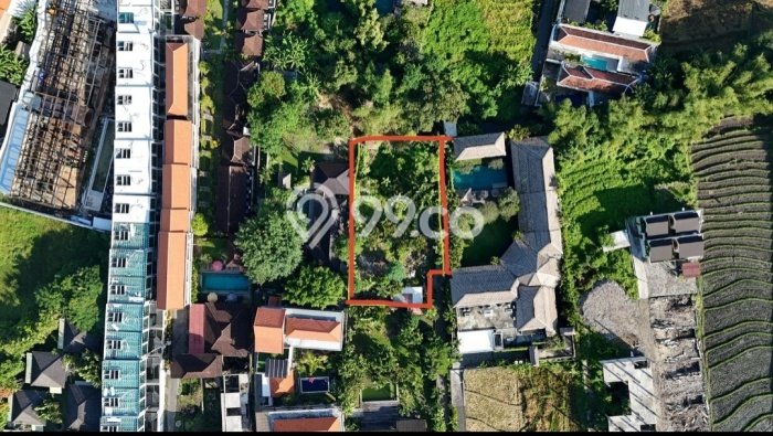 Disewakan Tanah di Canggu Badung Seluas 1100m2 Disewakan Tanah di Canggu Badung Seluas 1100m2
