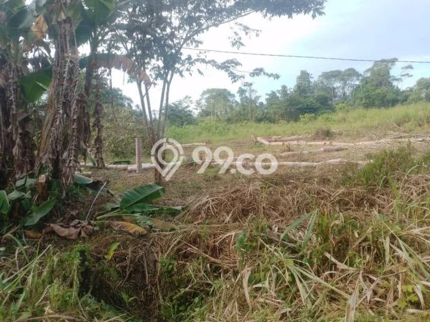 Jual Tanah Lokasi Prima Kawasan Jayapura Selatan, Luas 1799m2m², Dekat Jayapura Selatan, Jayapura, Jayapura Jual Tanah Lokasi Prima Kawasan Jayapura Selatan, Luas 1799m2m², Dekat Jayapura Selatan, Jayapura, Jayapura