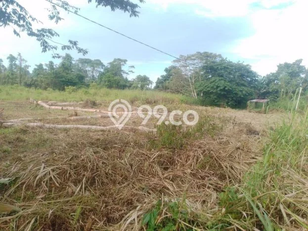 Jual Tanah Lokasi Prima Kawasan Jayapura Selatan, Luas 1799m2m², Dekat Jayapura Selatan, Jayapura, Jayapura Jual Tanah Lokasi Prima Kawasan Jayapura Selatan, Luas 1799m2m², Dekat Jayapura Selatan, Jayapura, Jayapura