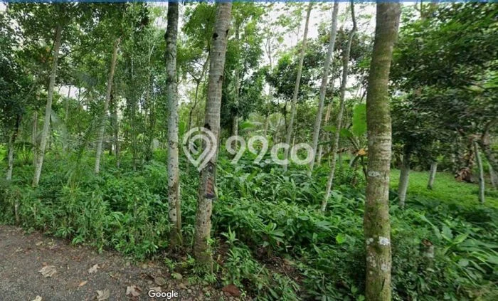 Tanah Strategis Dijual di Banyuurip Purworejo 6340m2 Tanah Strategis Dijual di Banyuurip Purworejo 6340m2