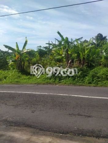 Tanah Dijual Lokasi Strategis di Semarang dengan Luas 1992m2 Tanah Dijual Lokasi Strategis di Semarang dengan Luas 1992m2