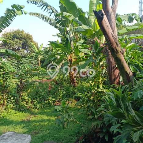 Kavling Tanah di Cimanggis Dijual Luas 78998m2 Legalitas SHM Kavling Tanah di Cimanggis Dijual Luas 78998m2 Legalitas SHM