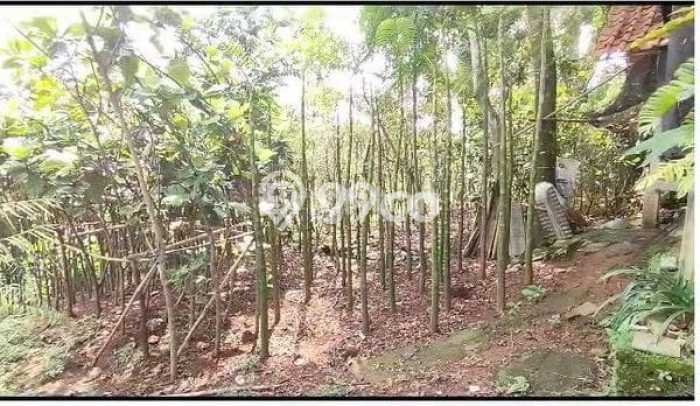 Tanah Kavling Dijual di Bogor dengan Spesifikasi 800m2 Tanah Kavling Dijual di Bogor dengan Spesifikasi 800m2