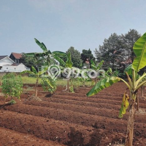 LOKASI STRATEGIS! Tanah Kawasan , Luas 2480m2m², Lingkungan Nyaman, Cocok untuk Hunian LOKASI STRATEGIS! Tanah Kawasan , Luas 2480m2m², Lingkungan Nyaman, Cocok untuk Hunian