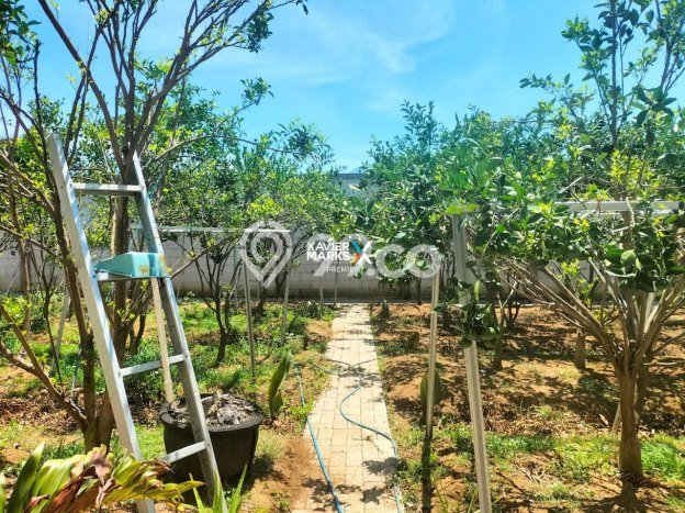 Untuk Dijual Komersial di Dau Malang LT 675m2 / LB 320m2 Untuk Dijual Komersial di Dau Malang LT 675m2 / LB 320m2