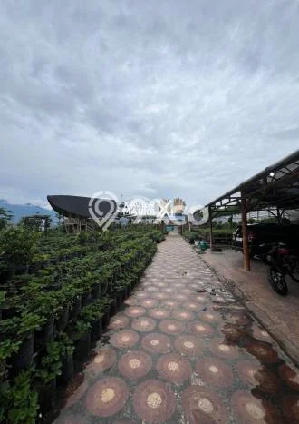 Komersial Dijual Lokasi Emas di Pujon Luas 1500m2 Komersial Dijual Lokasi Emas di Pujon Luas 1500m2
