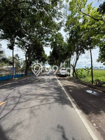 Tanah Kavling di Kepanjen Dijual dengan Luas 7500m2 Tanah Kavling di Kepanjen Dijual dengan Luas 7500m2