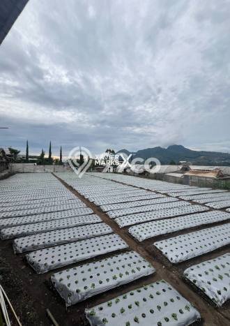 Komersial Dijual Lokasi Emas di Pujon Luas 1500m2 Komersial Dijual Lokasi Emas di Pujon Luas 1500m2