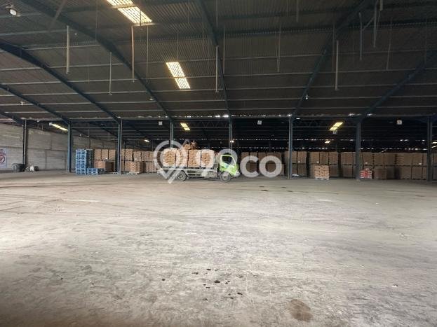 Gudang Bagus Dijual di Batu Ceper Tangerang Strategis Cocok untuk Kembangkan Bisnis Gudang Bagus Dijual di Batu Ceper Tangerang Strategis Cocok untuk Kembangkan Bisnis