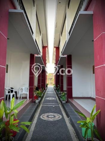 Ready to Use! Premium House LT 1520m2 Desain Elegan di Sidakarya Ready to Use! Premium House LT 1520m2 Desain Elegan di Sidakarya