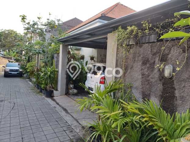 Disewakan Rumah Harga Terjangkau di Canggu Badung Punya 3 Kamar Tidur Disewakan Rumah Harga Terjangkau di Canggu Badung Punya 3 Kamar Tidur