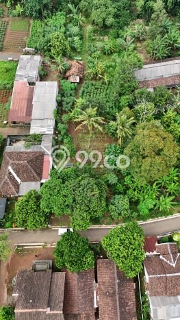 Tanah Dijual Lokasi Mijen, Semarang Luas 1605m2 Legalitas Aman Tanah Dijual Lokasi Mijen, Semarang Luas 1605m2 Legalitas Aman